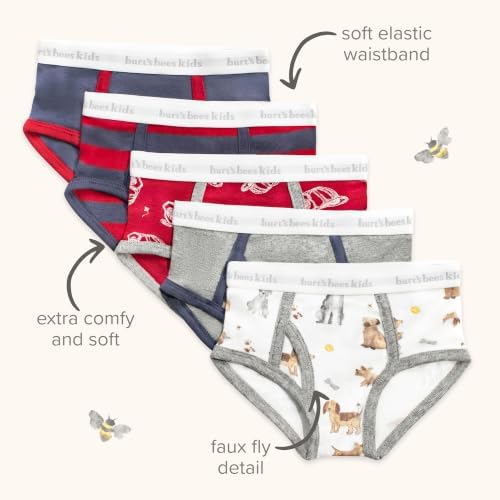 Burt's Bees Baby Boys' Organic Cotton Brief Underwear, 5-Pack Space Shuttles